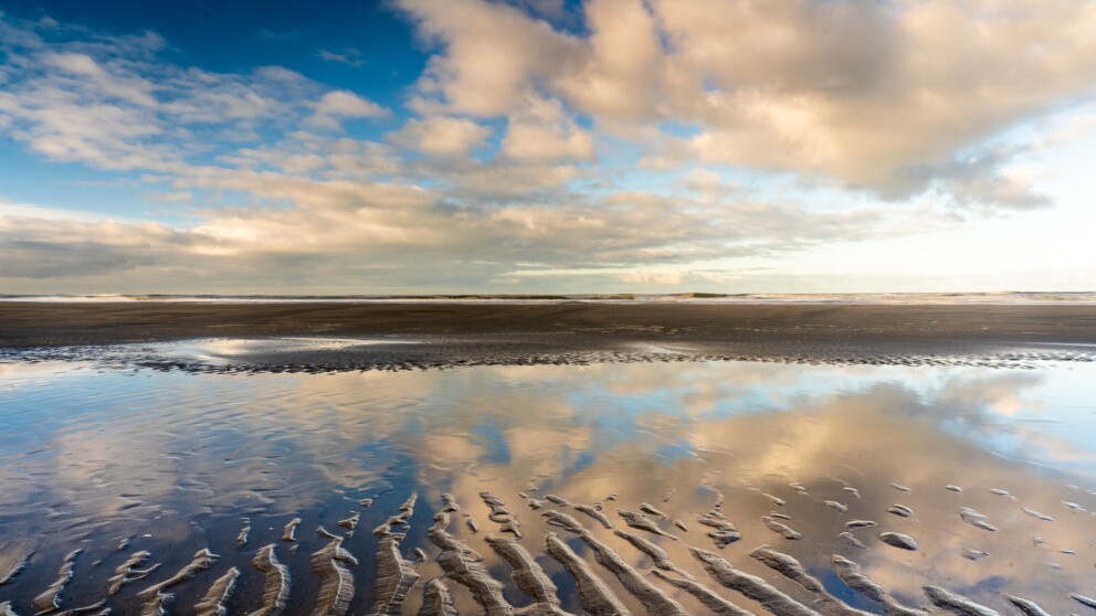 nationalpark wattenmeer, das wattenmeer