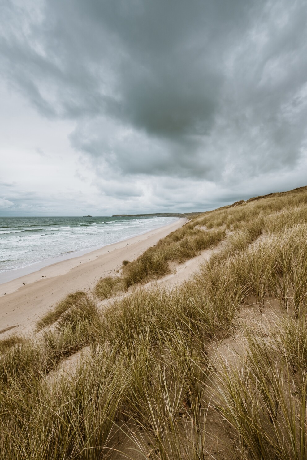 dünen auf amrum, dünen nordsee